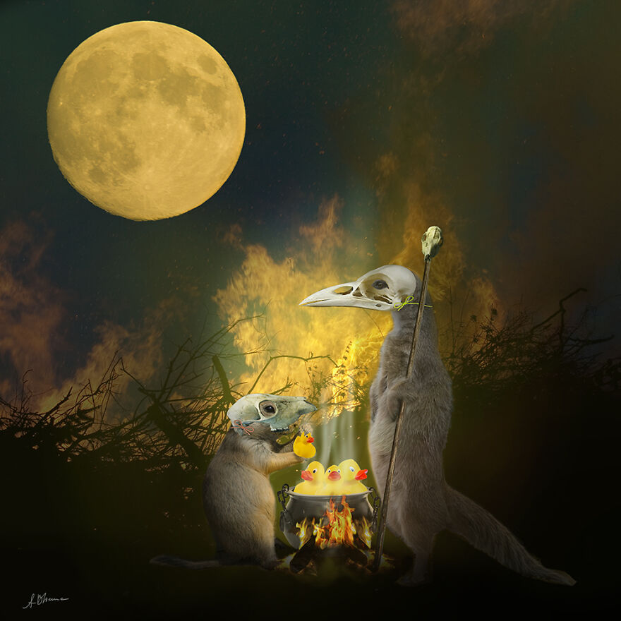 Cooking The Rubber Ducks