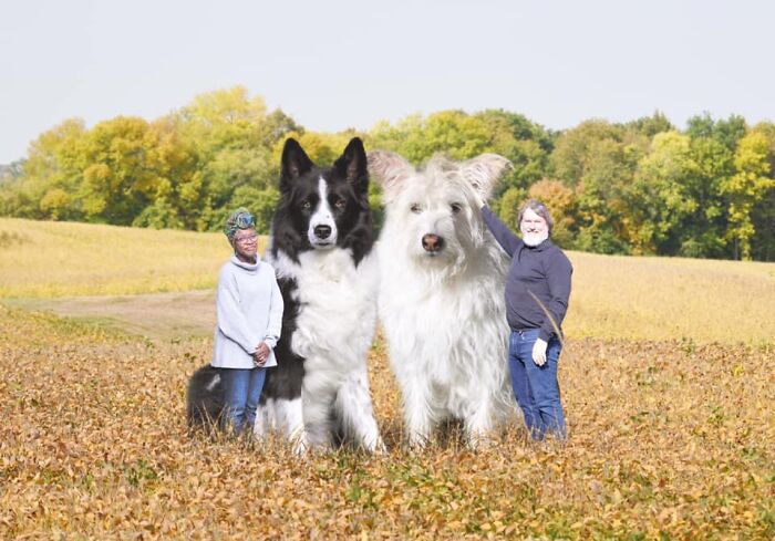 Family-Portrait-Challenge-Facebook