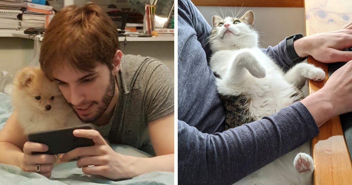 50 Mascotas sinvergüenzas que le robaron la pareja a sus dueños y no se arrepienten (fotos nuevas)