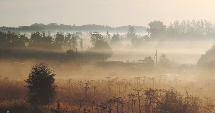 Hey Pandas, Post A Picture Of A Landscape That Was Taken By You (Closed)