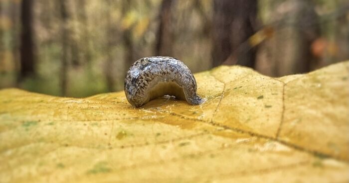 Hey Pandas, Post Your Favorite Picture You’ve Ever Taken (Closed)