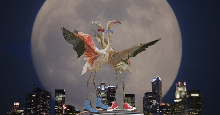 I Make Surreal New Worlds With Photos