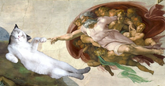 Hey Pandas, Photoshop Your Sleeping Pet On An Adventure (Closed)