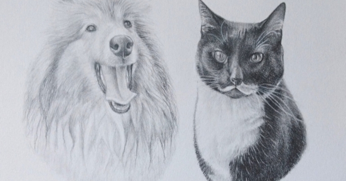 Hey Pandas, Draw The Best Image You Can On Paper (Closed)