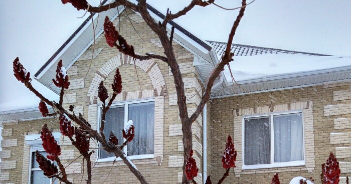 Hello, Pandas! Post The Best Photo Of Your Home In Winter (Closed)