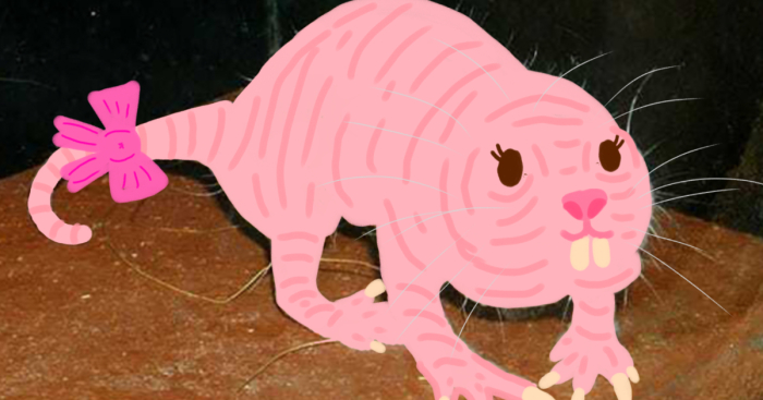 Hey Pandas, How About You Try To Make Him Cute? (Closed)