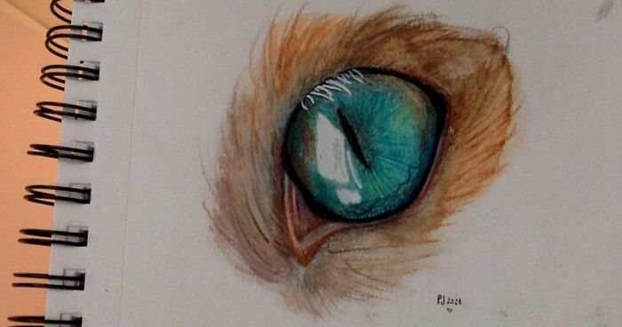 Hey Pandas, Post A Picture Of Your Weirdest, Most Random Hobby (Closed)