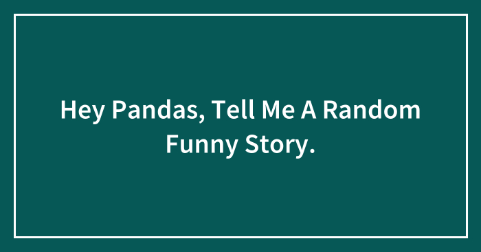 Hey Pandas, Tell Me A Random Funny Story.