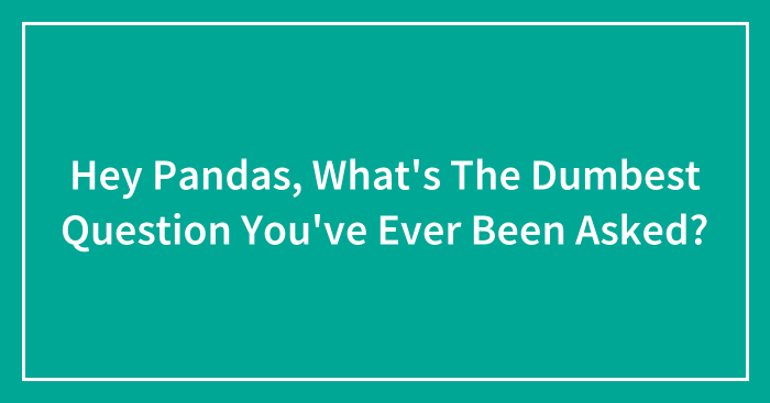 Hey Pandas, What’s The Dumbest Question You’ve Ever Been Asked? (Closed)