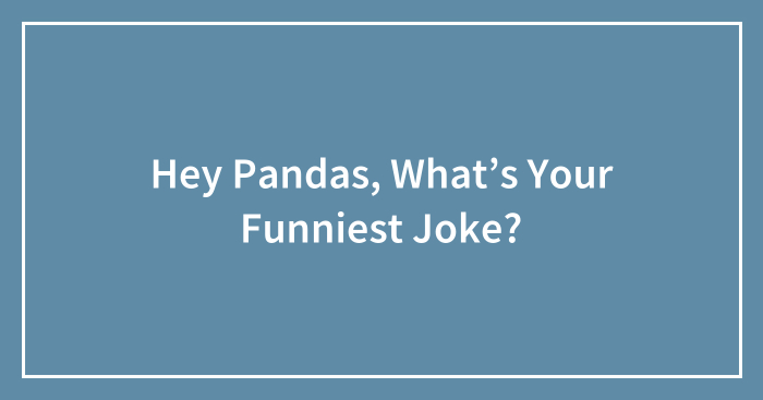 Hey Pandas, What’s Your Funniest Joke? (Closed)
