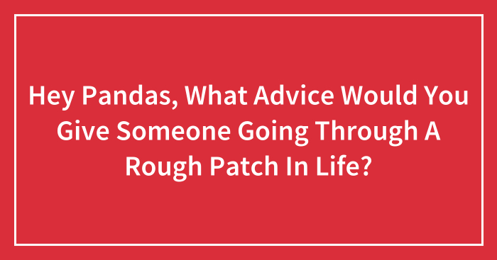 Hey Pandas, What Advice Would You Give Someone Going Through A Rough Patch In Life? (Closed)