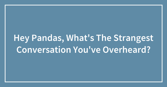 Hey Pandas, What’s The Strangest Conversation You’ve Overheard? (Closed)