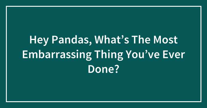 Hey Pandas, What’s The Most Embarrassing Thing You’ve Ever Done?