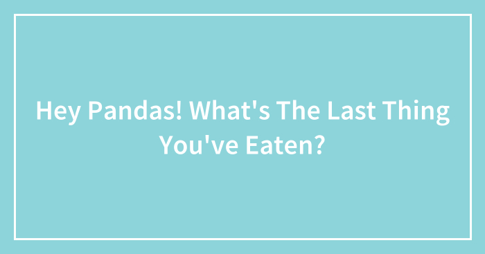 Hey Pandas! What’s The Last Thing You’ve Eaten?