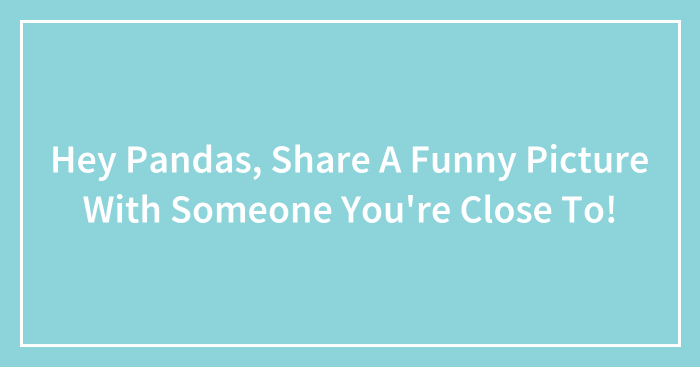 Hey Pandas, Share A Funny Picture With Someone You’re Close To!