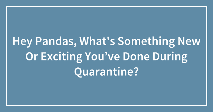 Hey Pandas, What’s Something New Or Exciting You’ve Done During Quarantine? (Closed)
