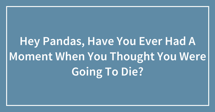 Hey Pandas, Have You Ever Had A Moment When You Thought You Were Going To Die? (Closed)