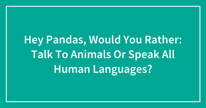 Hey Pandas, Would You Rather: Talk To Animals Or Speak All Human Languages? (Closed)