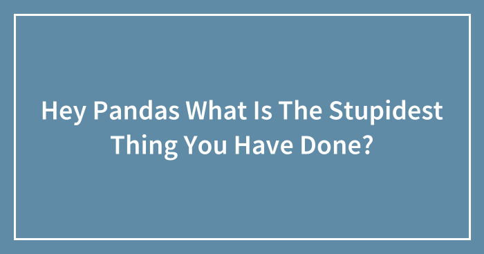 Hey Pandas What Is The Stupidest Thing You Have Done?