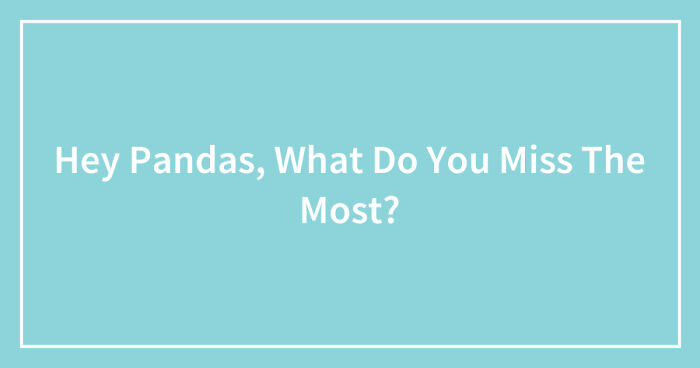 Hey Pandas, What Do You Miss The Most? (Closed)