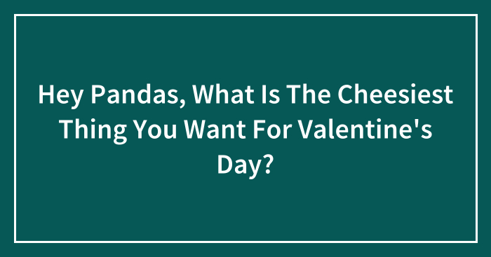 Hey Pandas, What Is The Cheesiest Thing You Want For Valentine’s Day? (Closed)