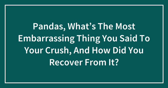 Pandas, What’s The Most Embarrassing Thing You Said To Your Crush, And How Did You Recover From It? (Closed)