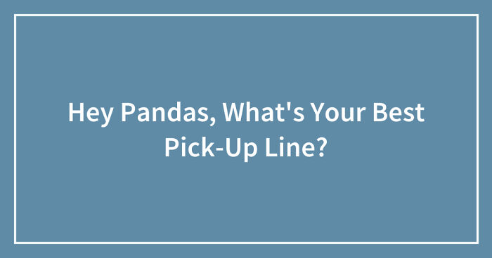 Hey Pandas, What’s Your Best Pick-Up Line? (Closed)