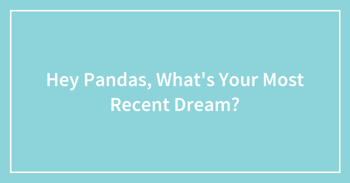 Hey Pandas, What’s Your Most Recent Dream? (Closed)