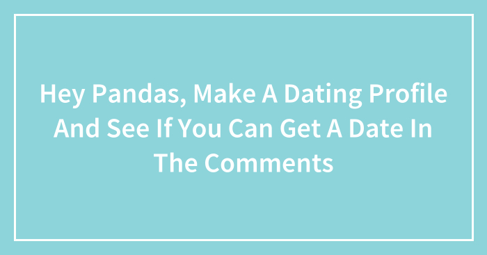 Hey Pandas, Make A Dating Profile And See If You Can Get A Date In The Comments (Closed)