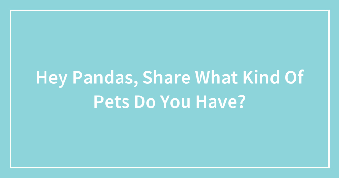 Hey Pandas, Share What Kind Of Pets Do You Have? (Closed)