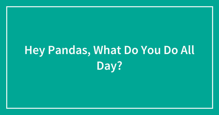 Hey Pandas, What Do You Do All Day?