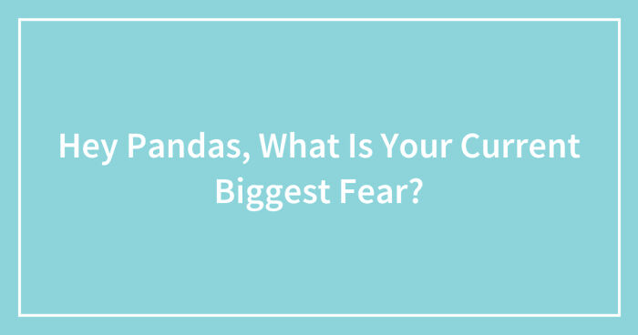 Hey Pandas, What Is Your Current Biggest Fear?