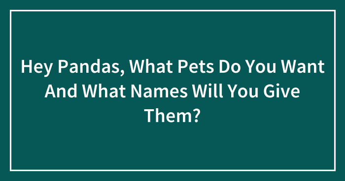 Hey Pandas, What Pets Do You Want And What Names Will You Give Them?