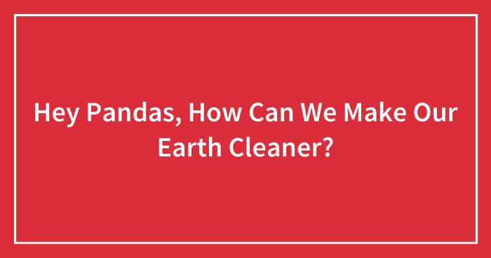 Hey Pandas, How Can We Make Our Earth Cleaner?