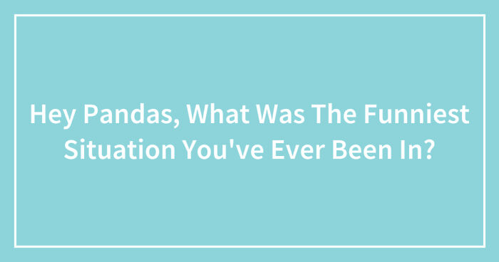 Hey Pandas, What Was The Funniest Situation You’ve Ever Been In?