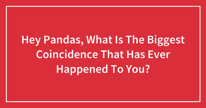 Hey Pandas, What Is The Biggest Coincidence That Has Ever Happened To You?