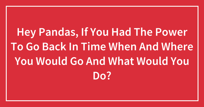 Hey Pandas, If You Had The Power To Go Back In Time When And Where You Would Go And What Would You Do? (Closed)