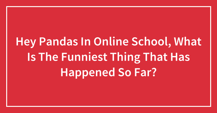Hey Pandas In Online School, What Is The Funniest Thing That Has Happened So Far? (Closed)