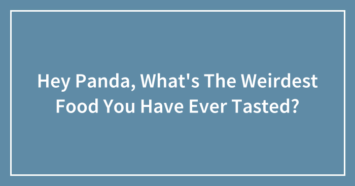Hey Panda, What’s The Weirdest Food You Have Ever Tasted? (Closed)