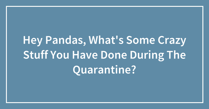 Hey Pandas, What’s Some Crazy Stuff You Have Done During The Quarantine? (Closed)