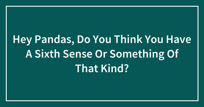 Hey Pandas, Do You Think You Have A Sixth Sense Or Something Of That Kind? (Closed)