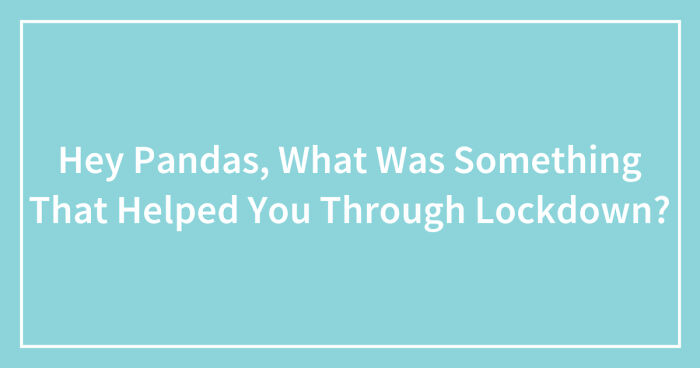 Hey Pandas, What Was Something That Helped You Through Lockdown? (Closed)