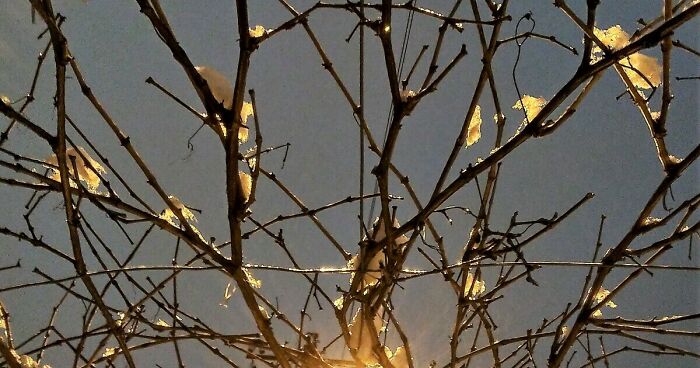 Hello Pandas, Post A Photo With Artificial Lighting That You Find Interesting (Closed)