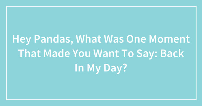 Hey Pandas, What Was One Moment That Made You Want To Say: Back In My Day? (Closed)