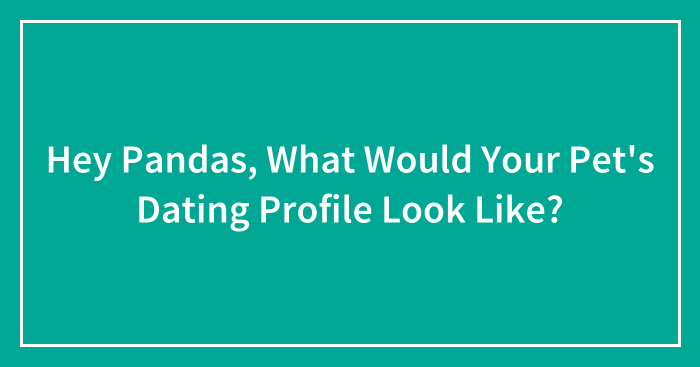 Hey Pandas, What Would Your Pet’s Dating Profile Look Like? (Closed)
