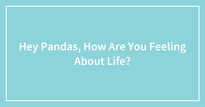 Hey Pandas, How Are You Feeling About Life? (Closed)