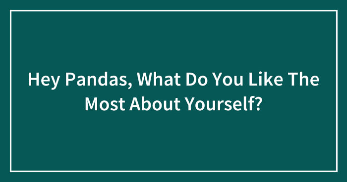 Hey Pandas, What Do You Like The Most About Yourself? (Closed)
