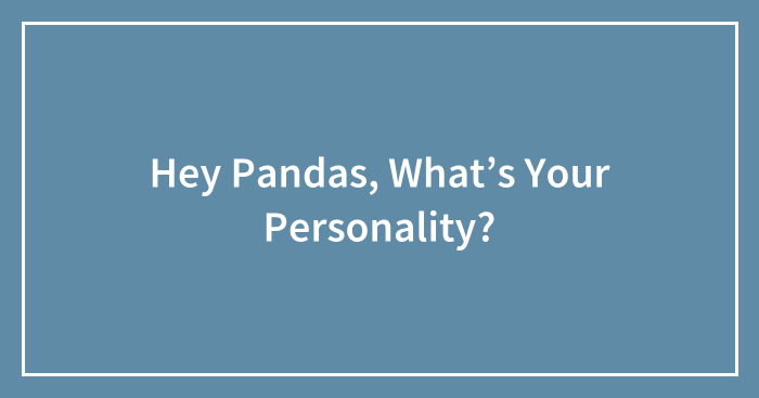 Hey Pandas, What’s Your Personality? (Closed)