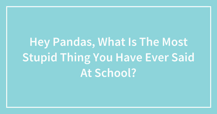 Hey Pandas, What Is The Most Stupid Thing You Have Ever Said At School? (Closed)