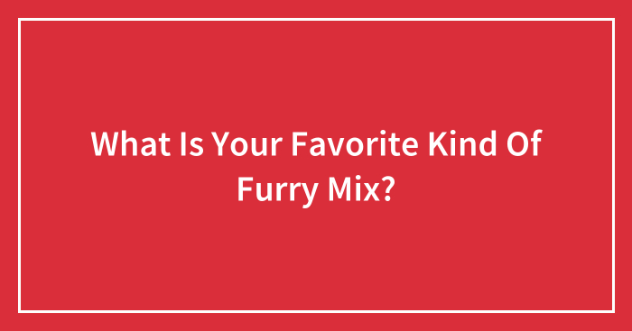 What Is Your Favorite Kind Of Furry Mix?